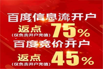 案例解读：网络推广与竞价策略